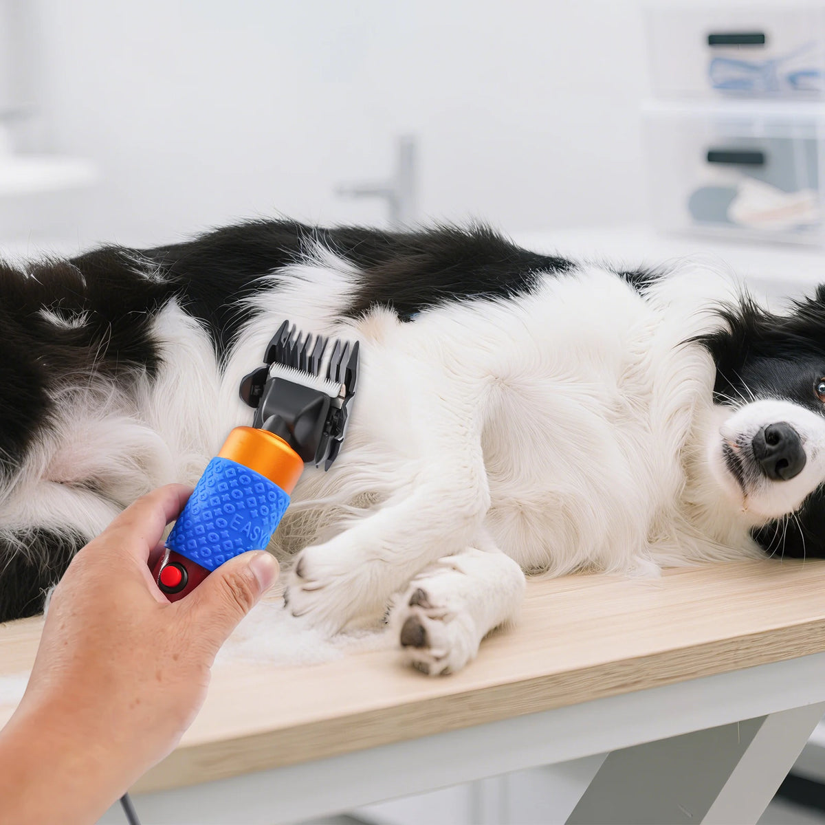 Electric Animal Shearing Clippers For Sheep Goat And Dog Grooming