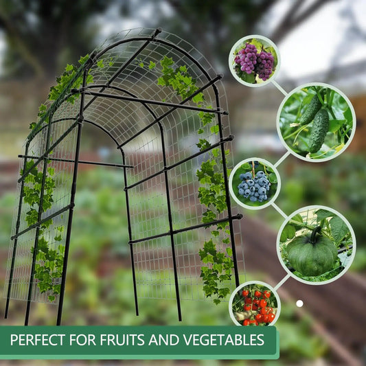 Metal Garden Arch Trellis For Climbing Vegetables And Raised Beds