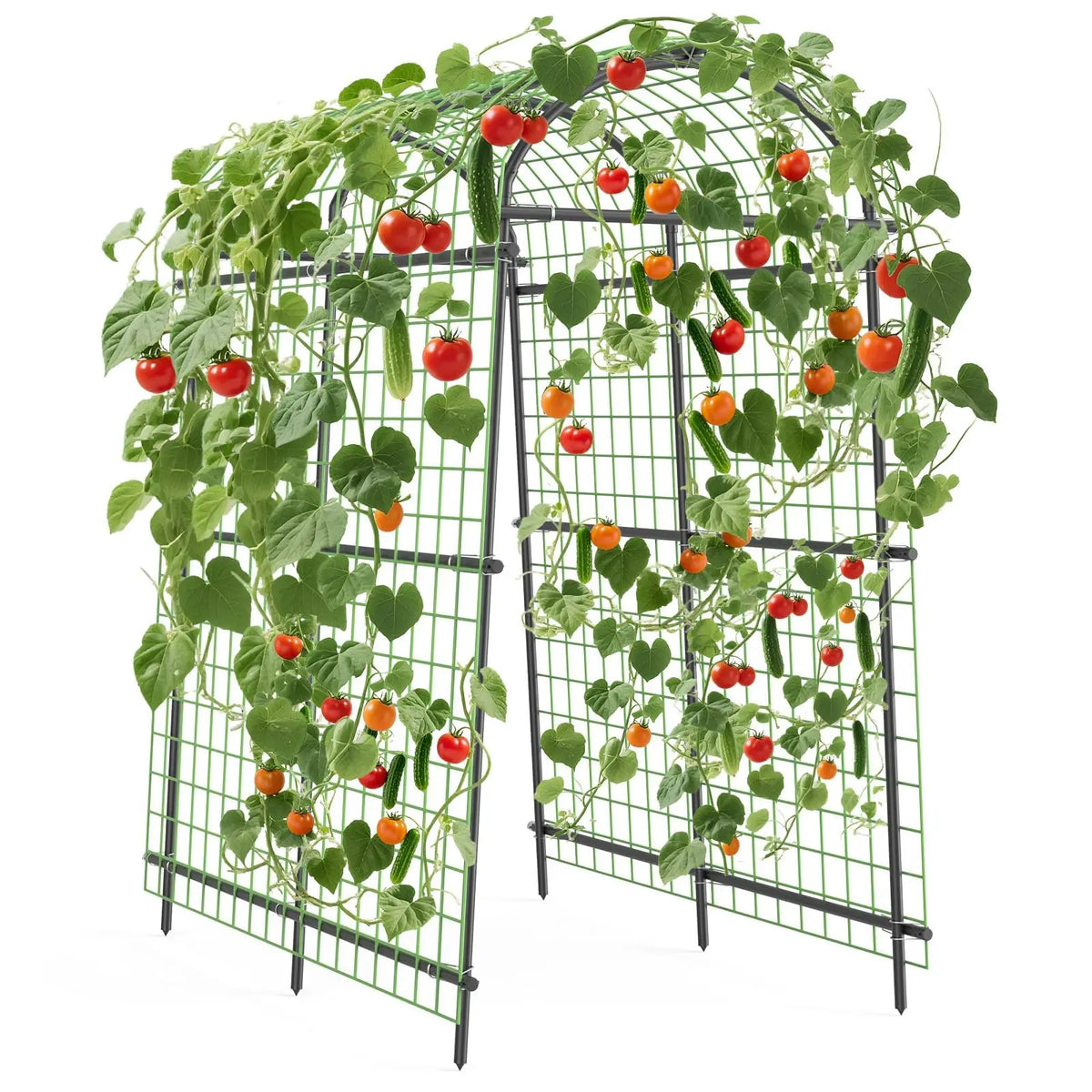 Metal Garden Arch Trellis For Climbing Vegetables And Raised Beds