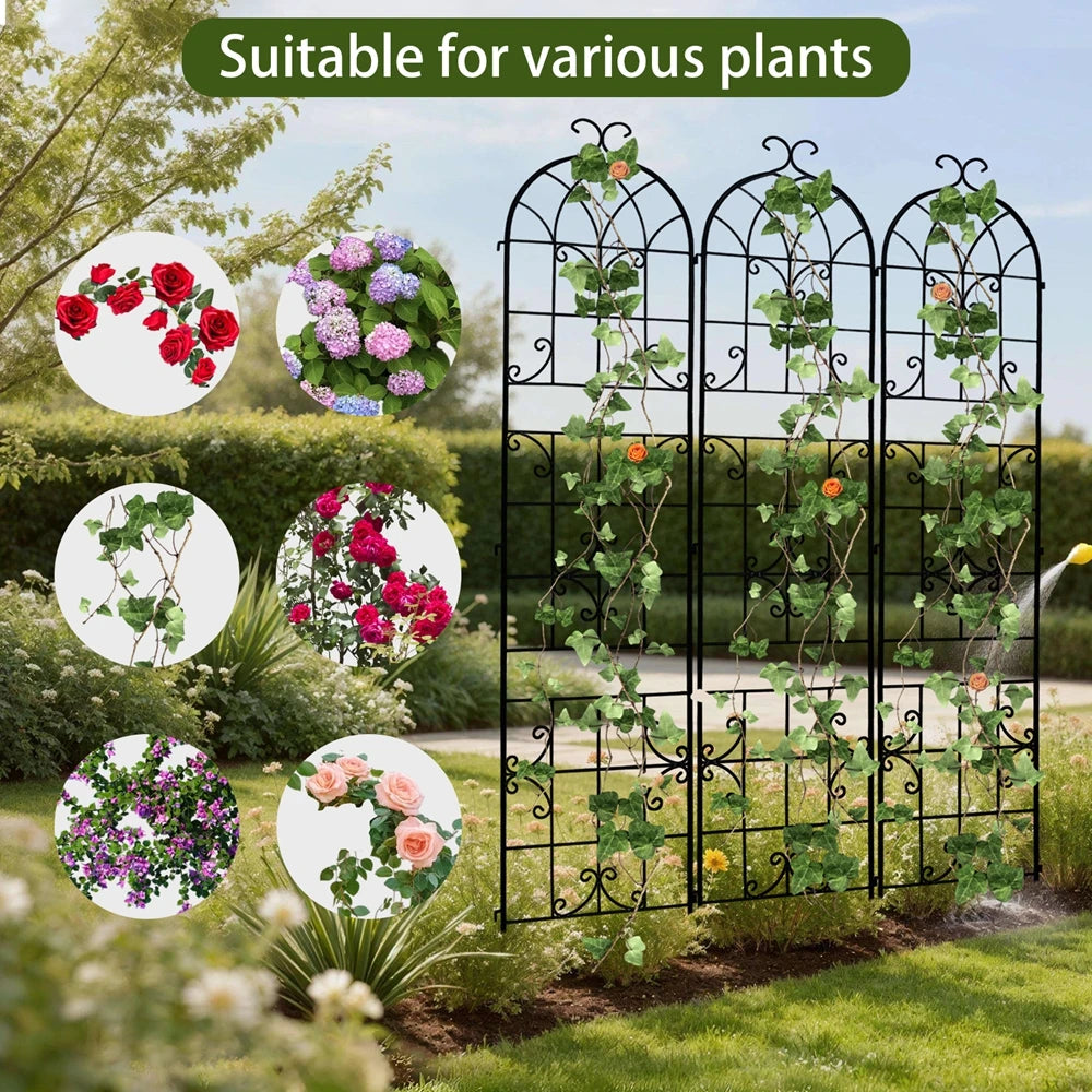 Tall Metal Garden Trellis For Climbing Plants