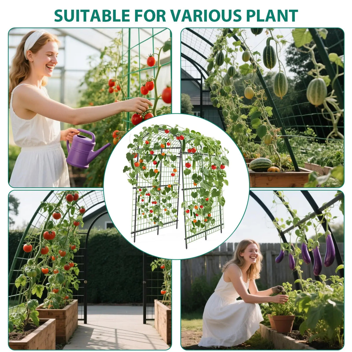 Metal Garden Arch Trellis For Climbing Vegetables And Raised Beds
