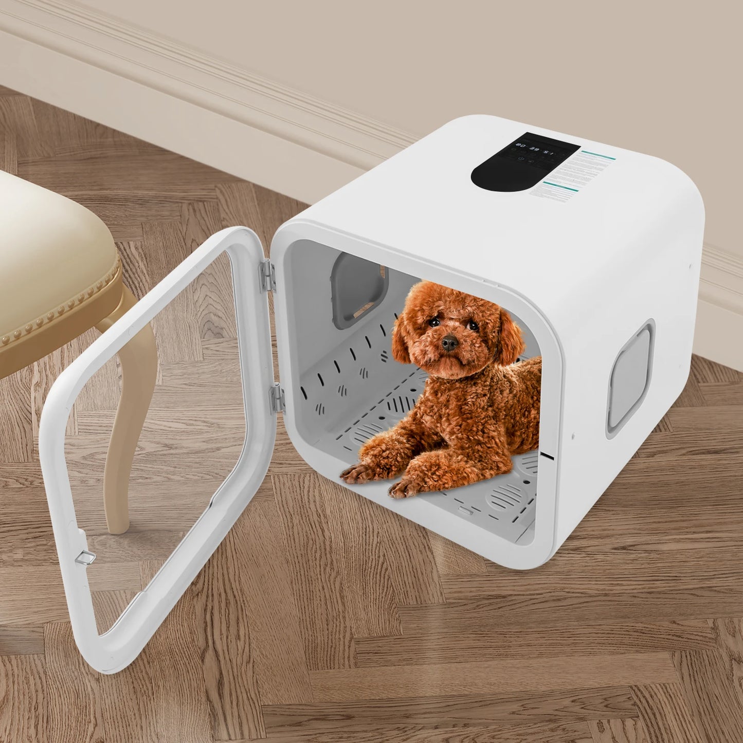 Pet Dryer Box 800W Pet Grooming Hair Dryer For Cats