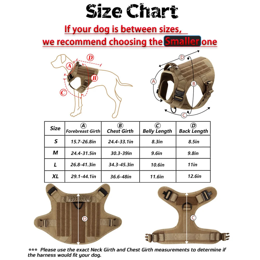 Large Dog Harness and Leash Set for Training and Walking