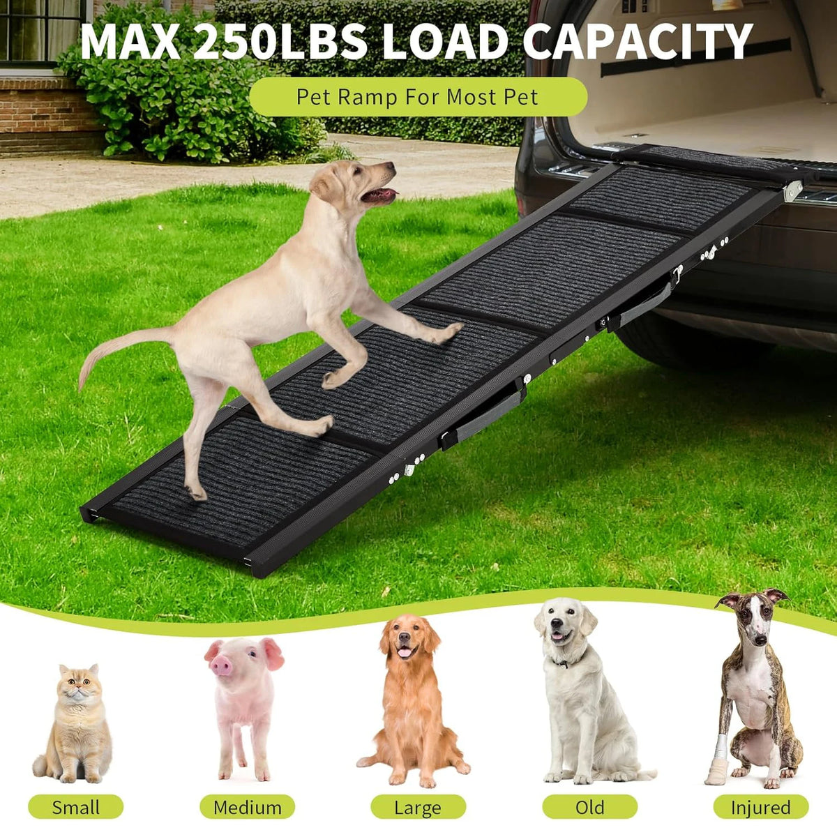 HiMISS Folding Dog Ramp For Cars With Non Slip Surface