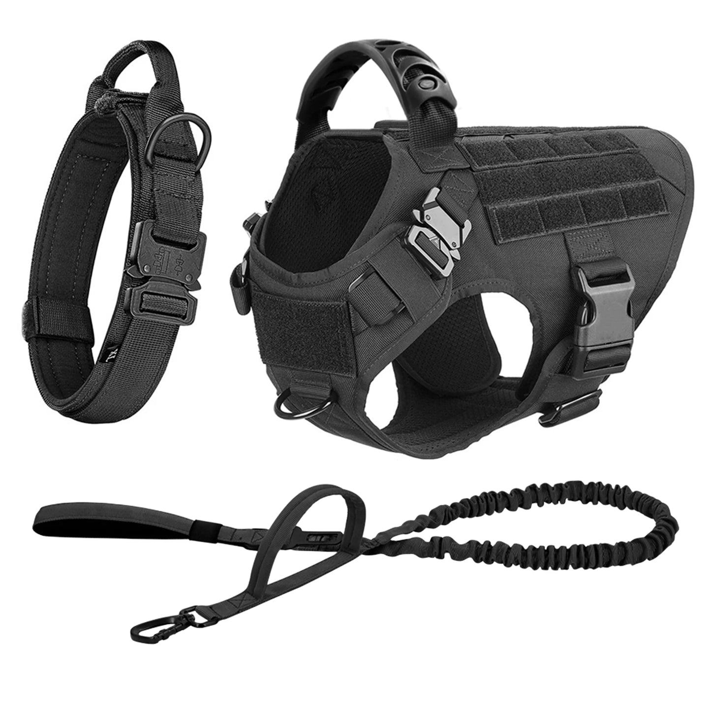 Large Dog Harness and Leash Set for Training and Walking
