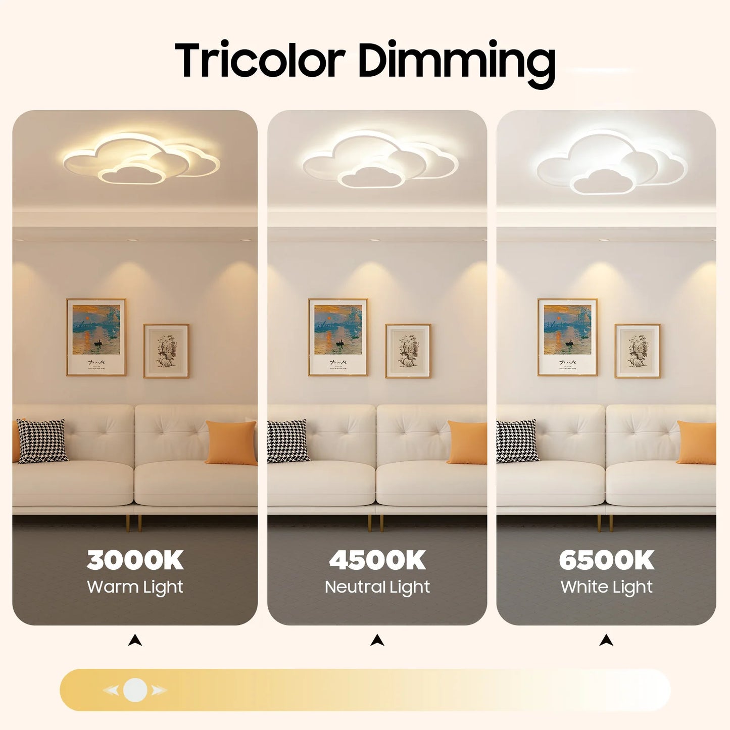 Cloud Shape LED Ceiling Light Fixture Acrylic Three Color Temperature