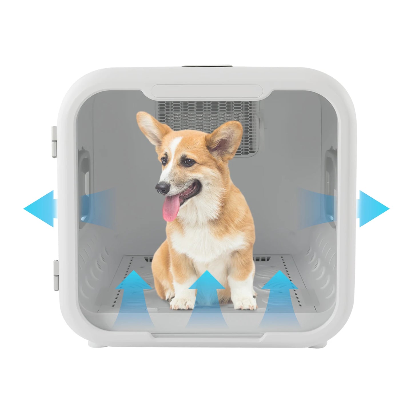 Pet Dryer Box 800W Pet Grooming Hair Dryer For Cats
